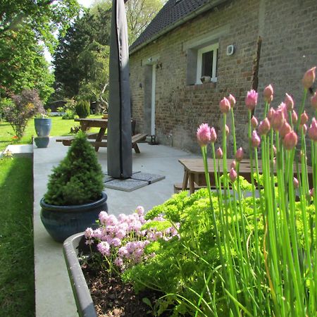 Gite Manoir Les Camps Greslins Questrecques Extérieur photo